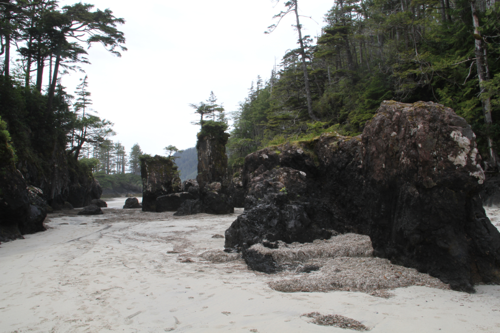 Sea stacks at San Josef Bay, Cape Scott Provincial Park, BC