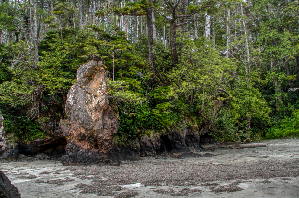 Sea stacks at San Josef Bay, Cape Scott Provincial Park, BC