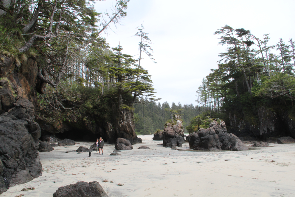 Sea stacks at San Josef Bay, Cape Scott Provincial Park, BC