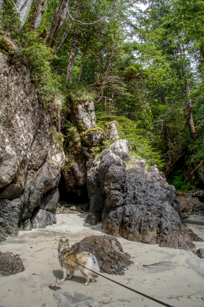 San Josef Bay, Cape Scott Provincial Park, BC