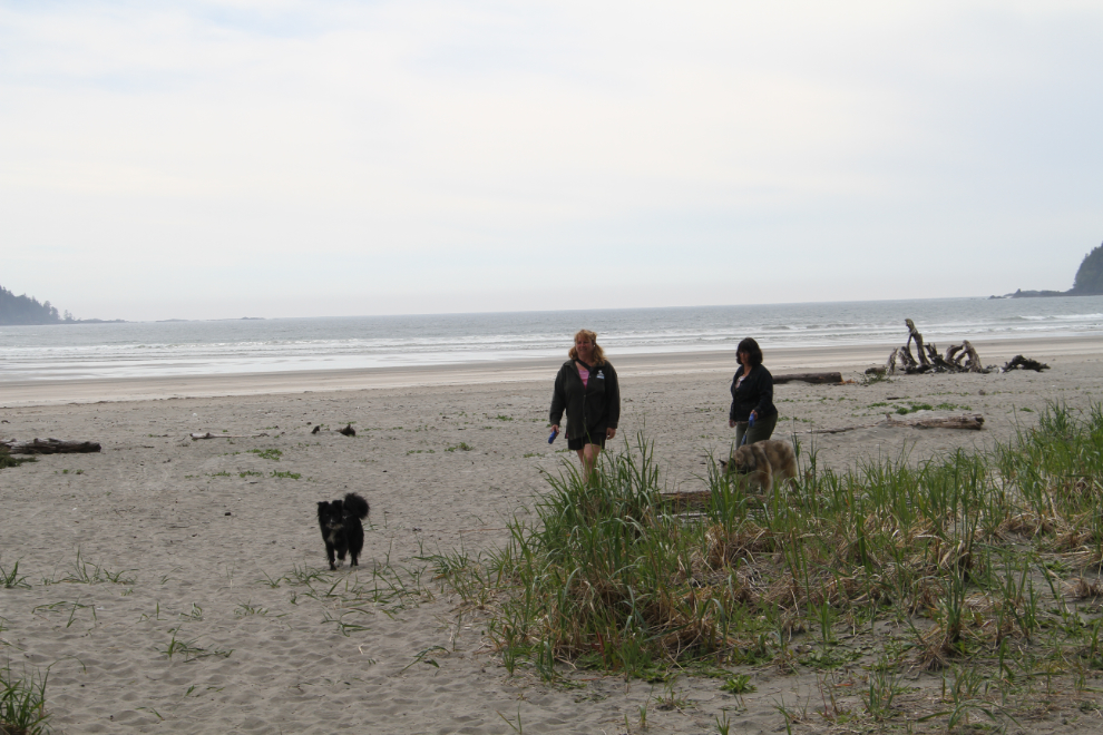 San Josef Bay, Cape Scott Provincial Park, BC