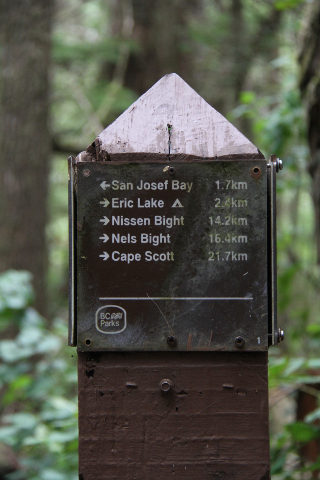 The trail to San Josef Bay, Cape Scott Provincial Park, BC