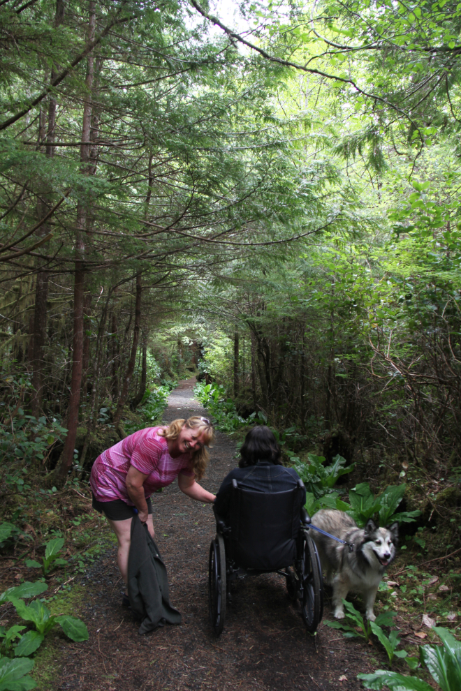 The trail to San Josef Bay, Cape Scott Provincial Park, BC