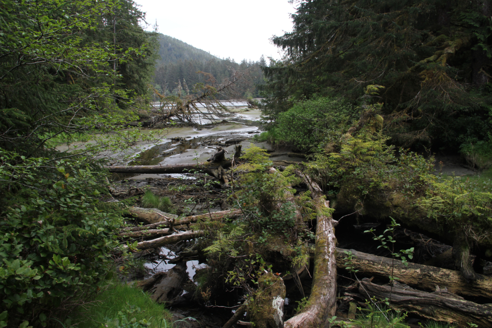 One of the San Josef River's side channels