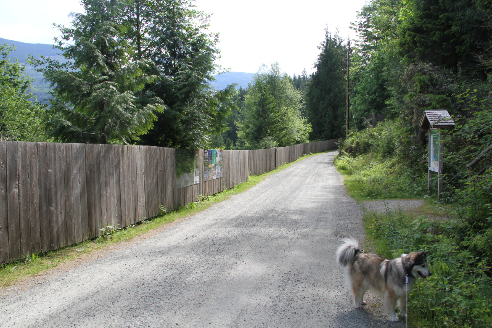 The trail to Skookumchuck Narrows starts on a road with a long fence