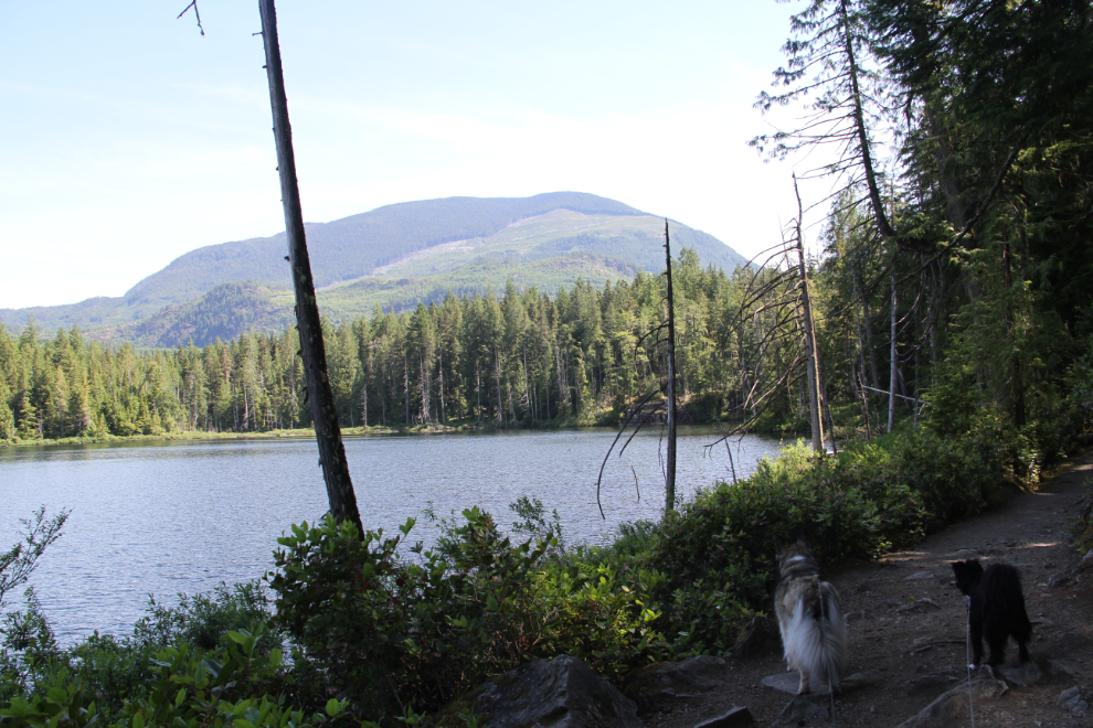 Brown Lake on the trail to Skookumchuck Narrows