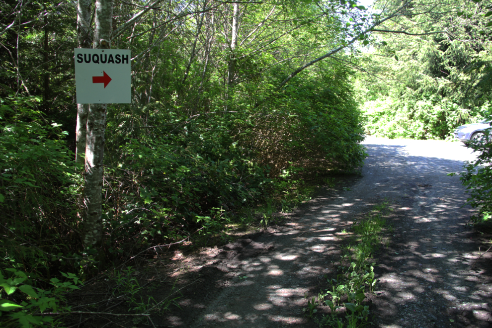 Road leading to the historic Suquash coal mine