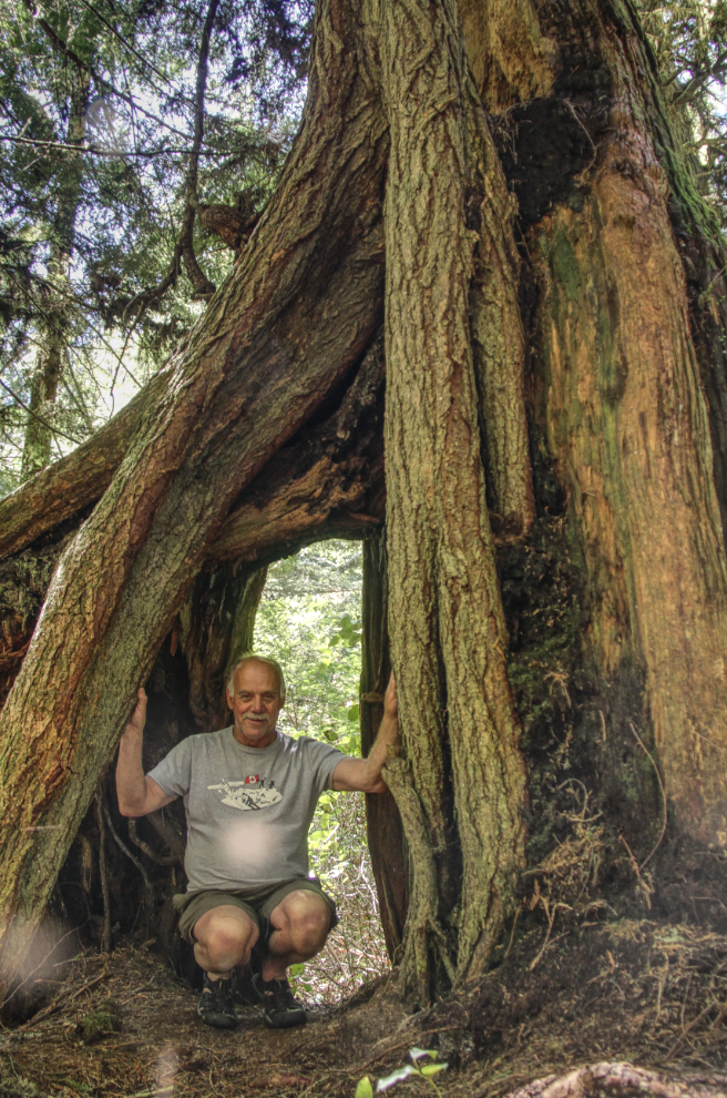 An interesting tree near the historic Suquash coal mine, Vancouver Island