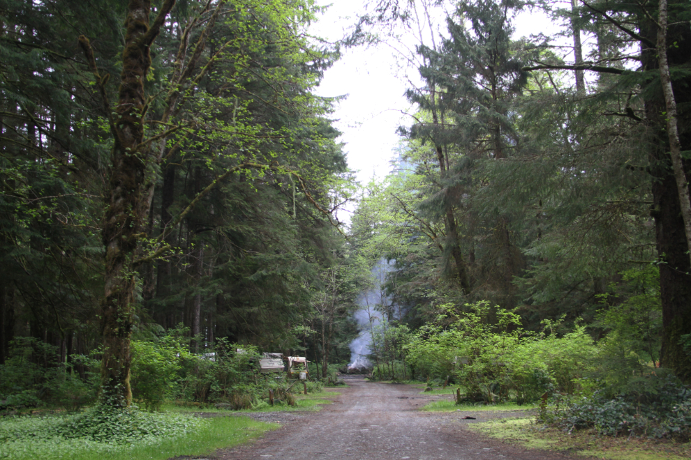 Forest Campground, Telegraph Cove, BC