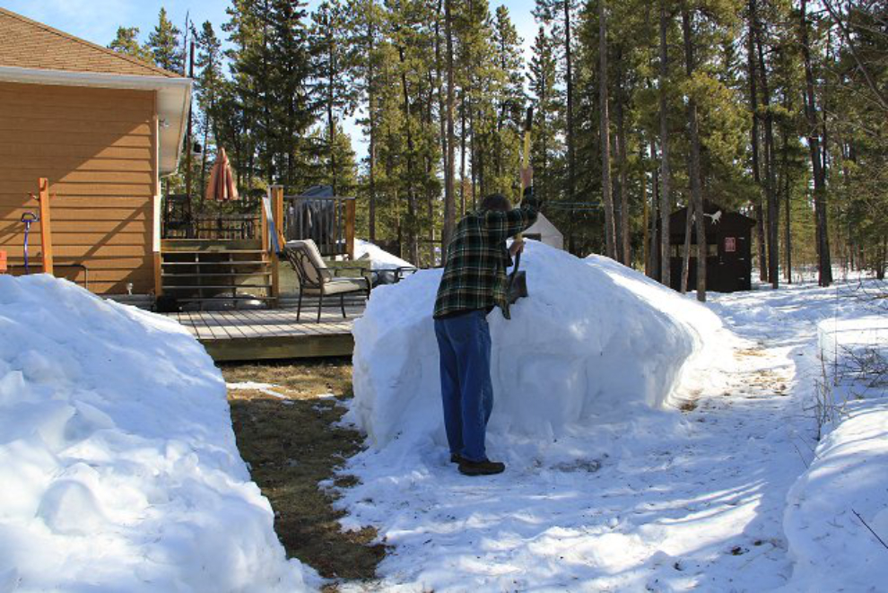 Digging for Spring in the Yukon