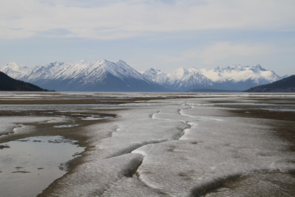 Spring on the beach at Carcross, Yukon