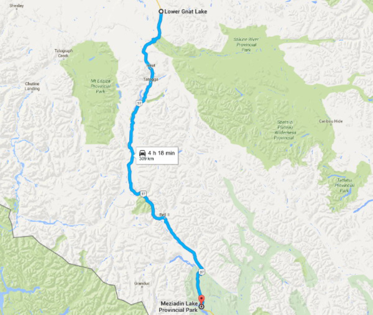 Map - Meziadin Lake Provincial Park to Lower Gnat Lake
