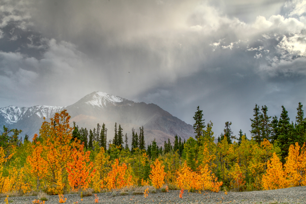 Fall at Kluane Lake, Yukon