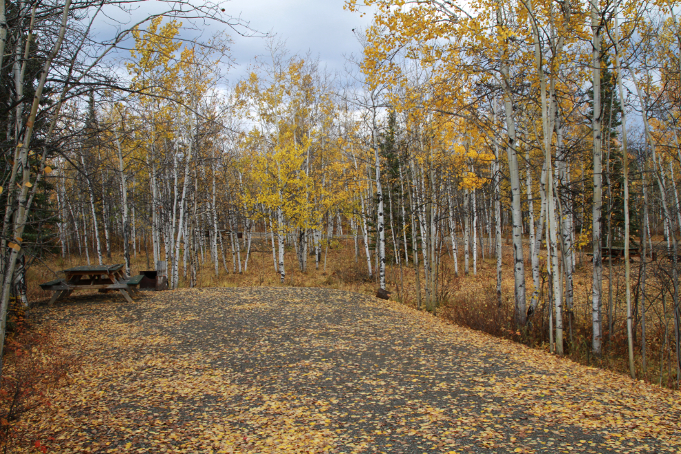 Fall colours at Twin Lakes Campground, Yukon