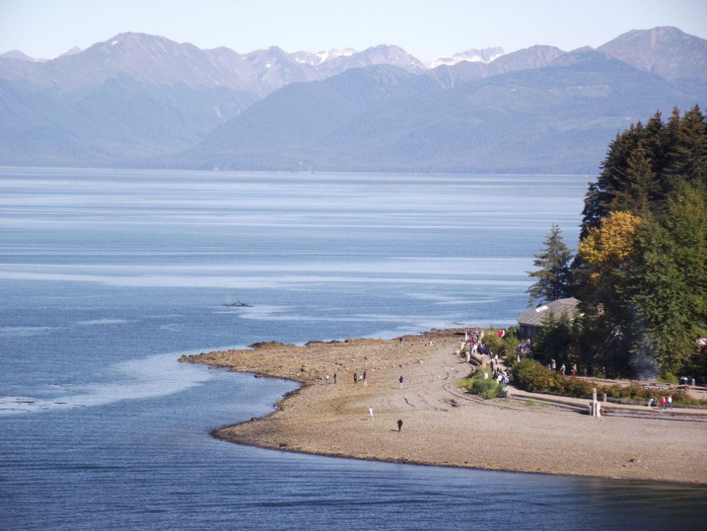 Orca watching from the beach at Icy Strait Point, Alaska