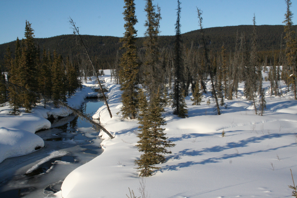 Lower Hazel Creek, at Alaska Highway Km 1153, in March