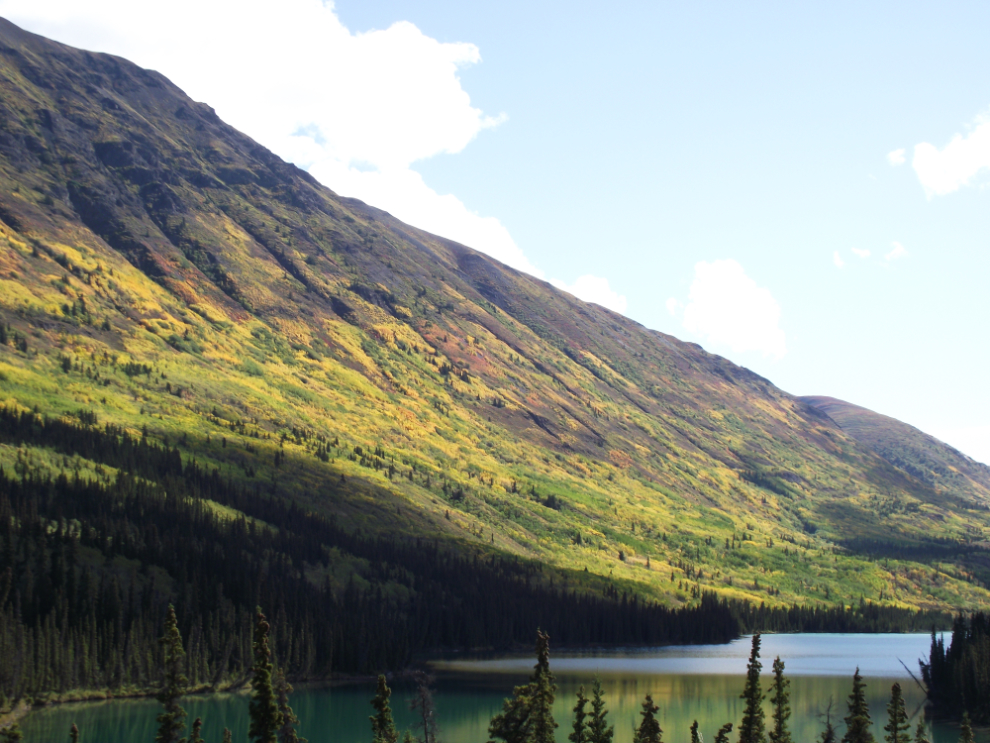 Fall colours at Spirit Lake, Yukon