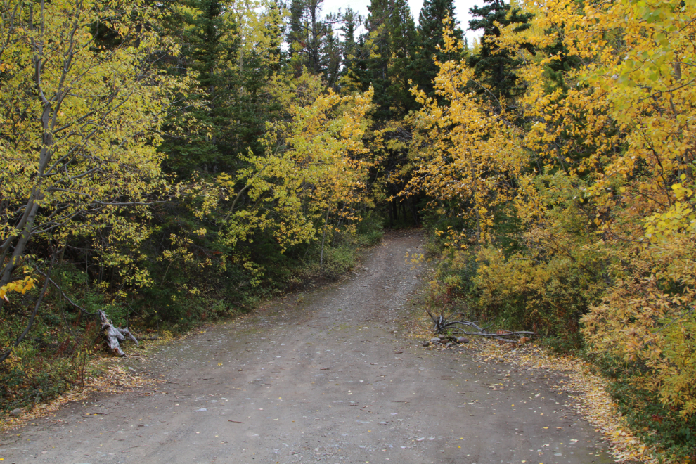 Hiking the Upper Easy Money circuit - Grey Mtn, Whitehorse