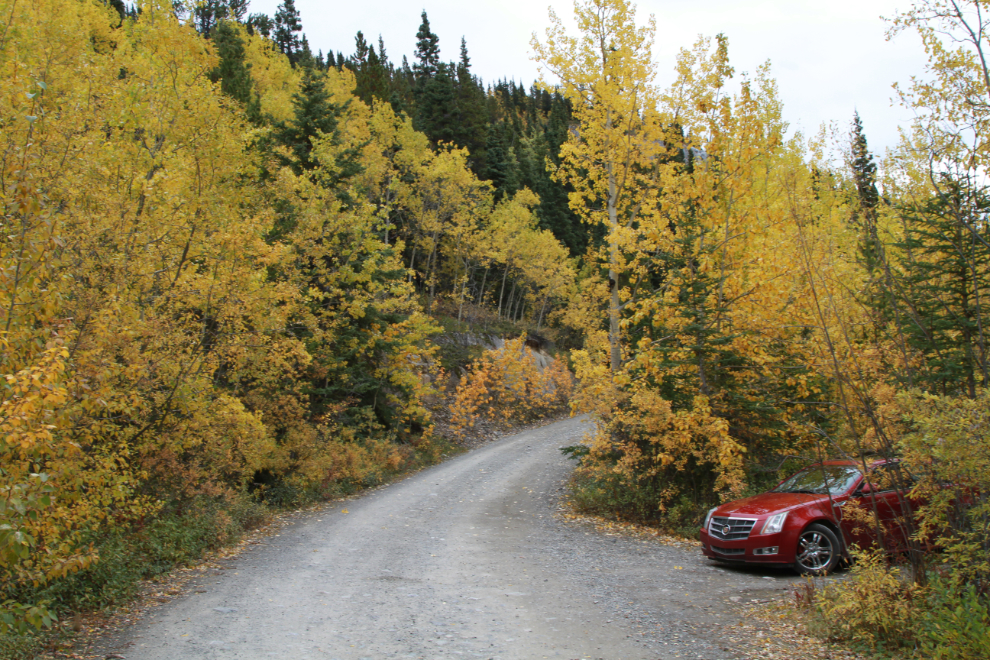 Parking for the Upper Easy Money circuit - Grey Mtn, Whitehorse