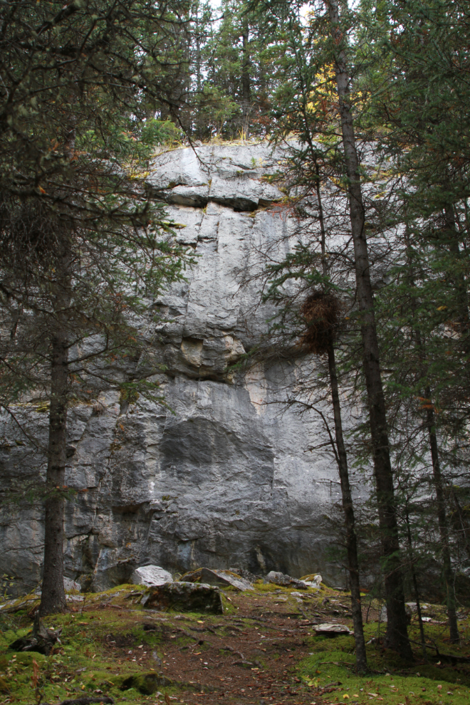  Hiking the Upper Easy Money circuit - Grey Mtn, Whitehorse