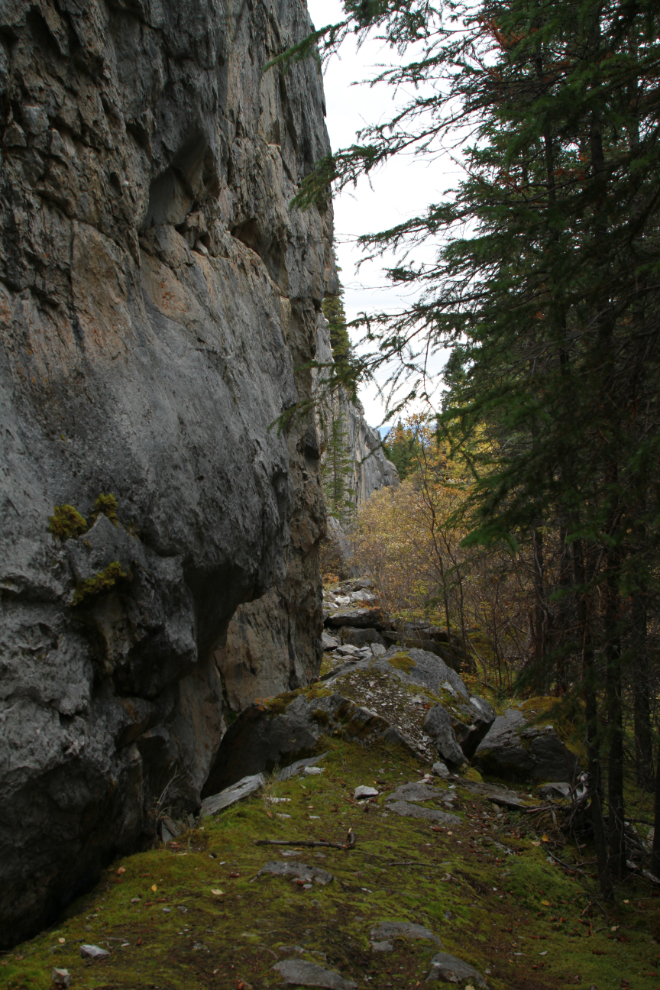  Hiking the Upper Easy Money circuit - Grey Mtn, Whitehorse