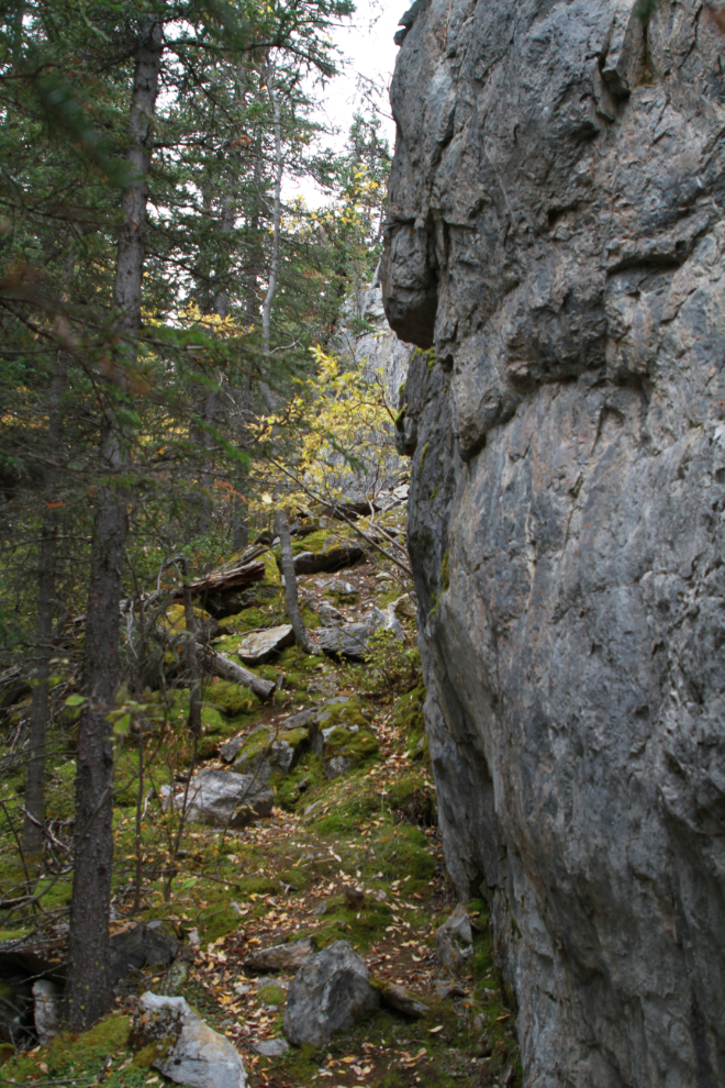  Hiking the Upper Easy Money circuit - Grey Mtn, Whitehorse