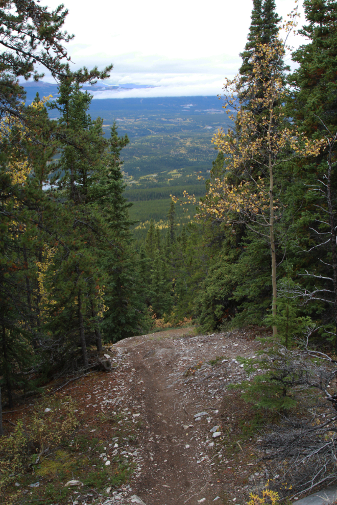 Hiking the Upper Easy Money circuit - Grey Mtn, Whitehorse