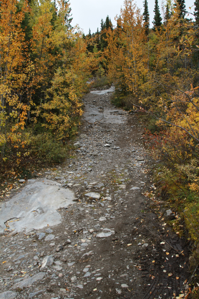 Hiking to the Grey Mtn cave, Whitehorse