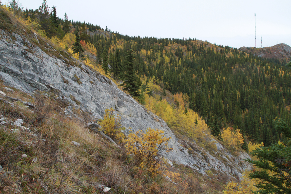 Hiking to the Grey Mtn cave, Whitehorse