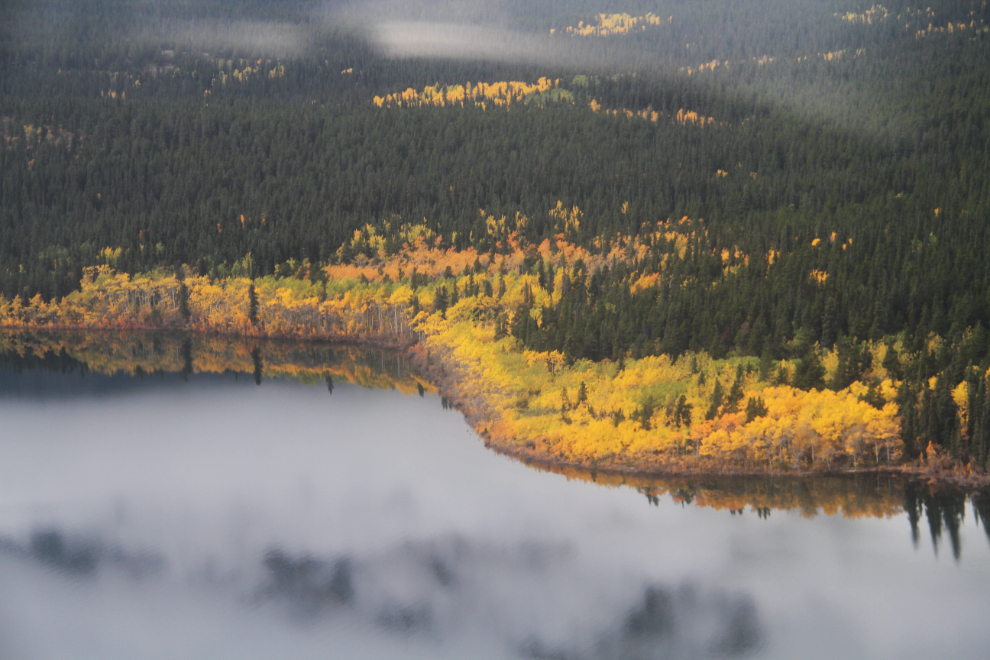 Brilliant Fall colours on the west side of Millhaven Bay, Yukon