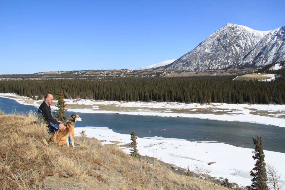 Murray and his husky Monty loving Spring along the Takhini River