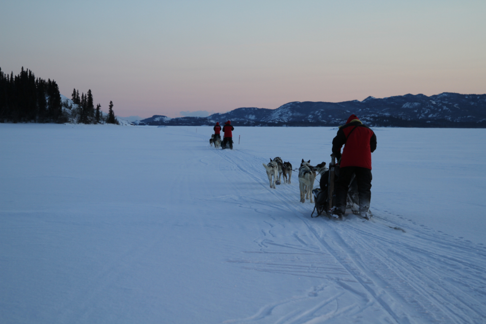 Dogsledding on Lake Laberge, Yukon