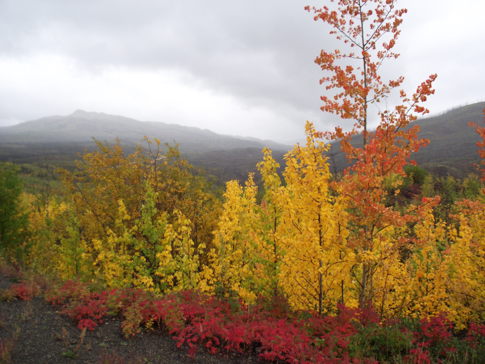 Fall colours along the North Klondike Highway