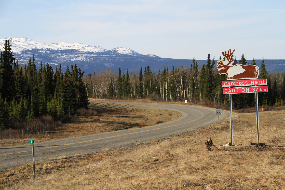 Tagish Road, Yukon