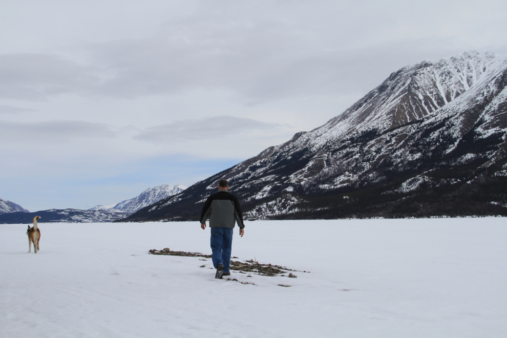 Winter walking at Tutshi Lake, BC