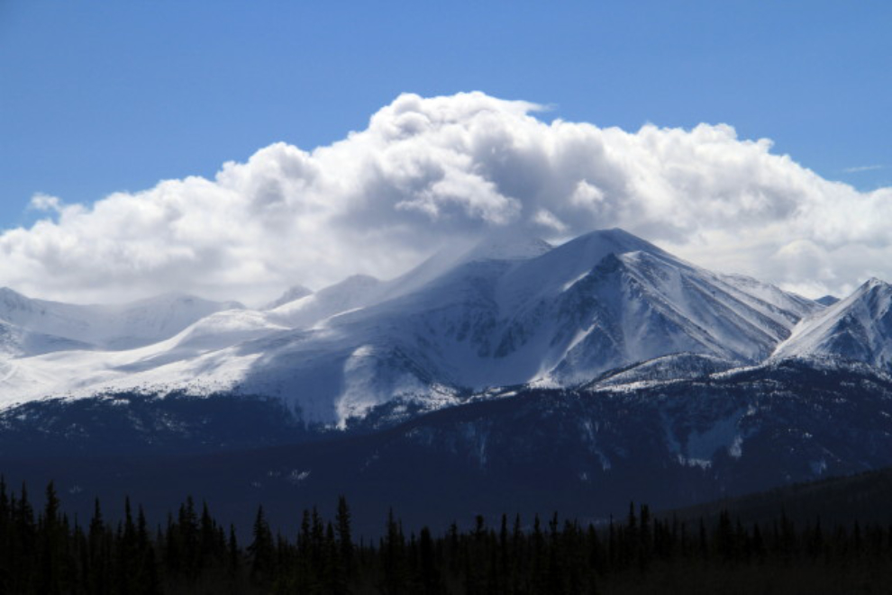 Brute Mountain at Carcross