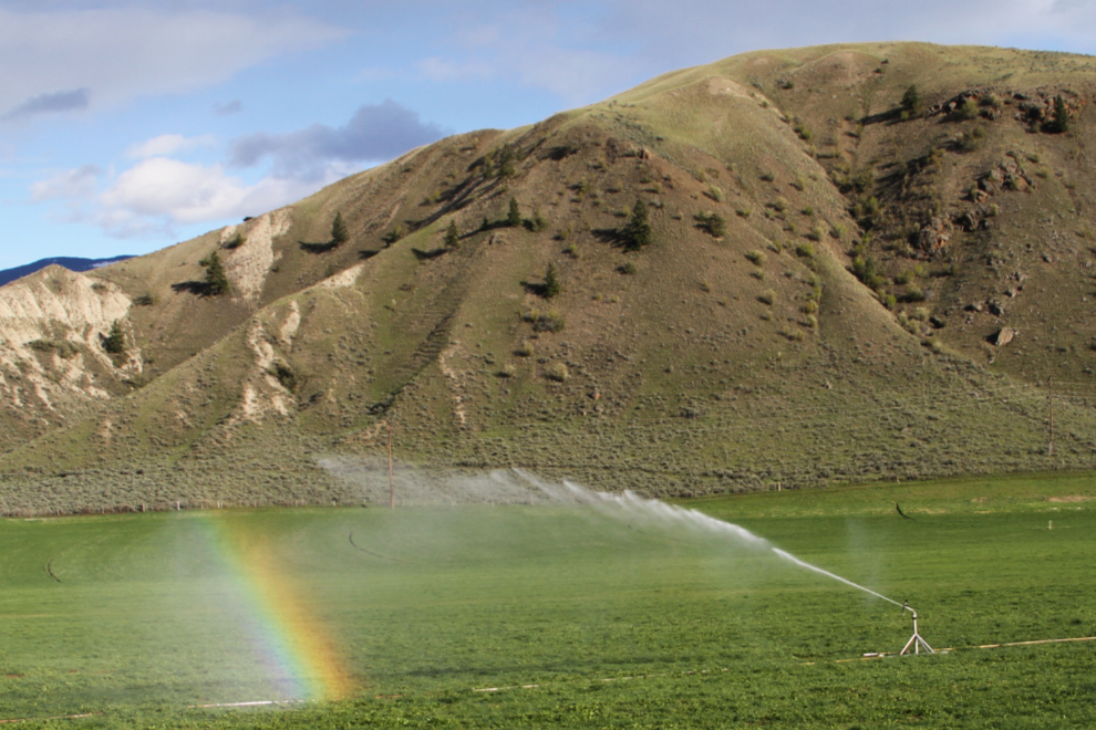 Irrigation south of Cache Creek, BC