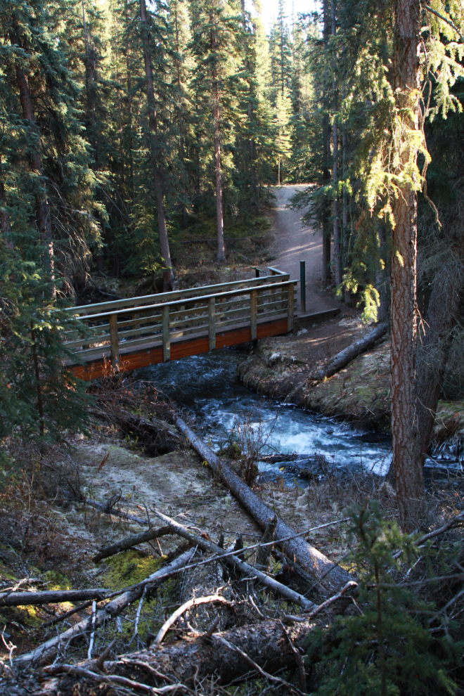A bridge over McIntyre Creek on the Trans Canada Trail