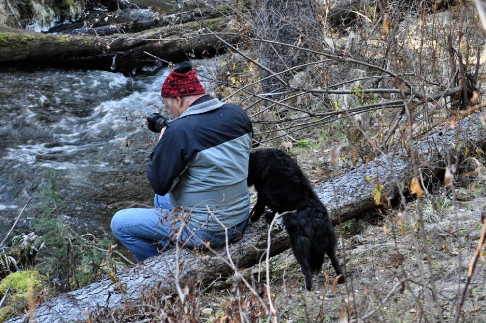  Murray Lundberg and his dog Tucker out photographing ice