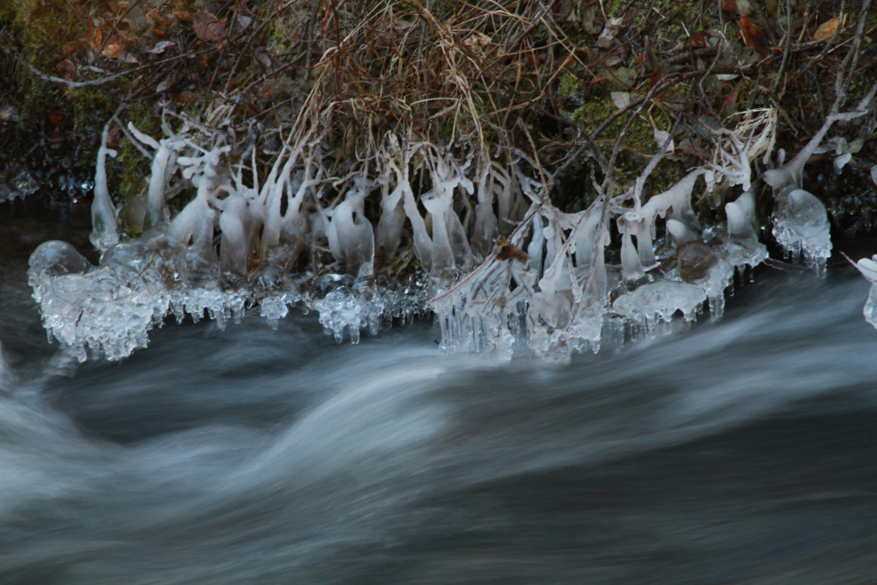 Early-winter ice on McIntyre Creek, Whitehorse, Yukon