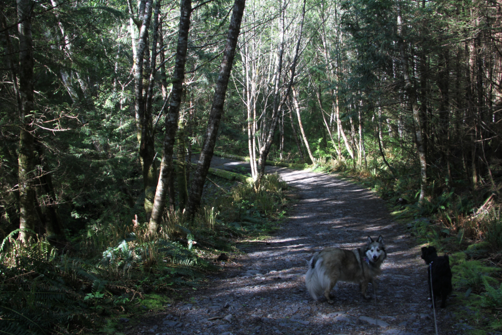 Botanical Beach, BC