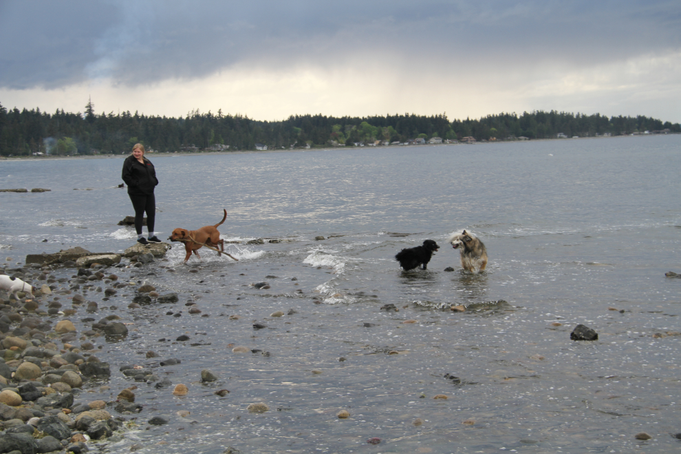 Playing on a beach at Qualicum Bay, BC
