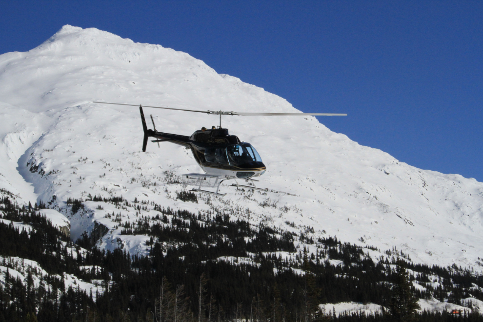 C-FCHQ, a 1973 Bell 206B JetRanger, is operated by Capital Helicopters of Whitehorse