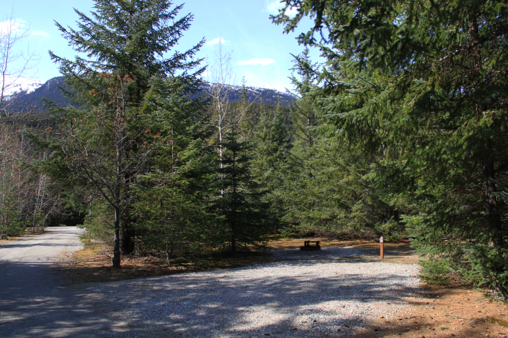 Campground at Dyea Flats Recreation Site