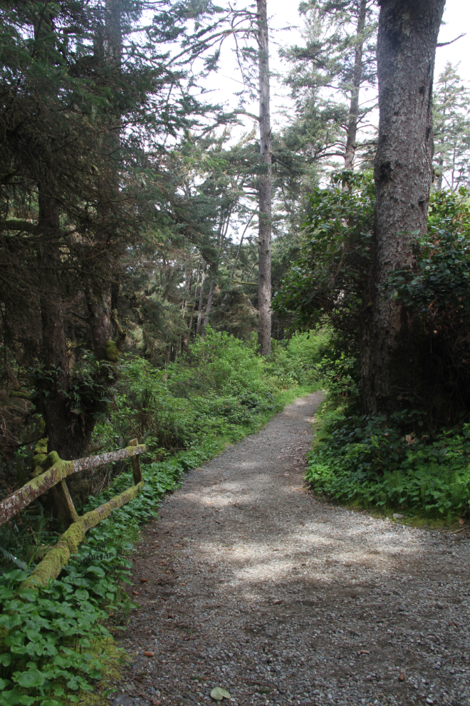 Trail to Long Beach from Green Point Campground, Pacific Rim National Park
