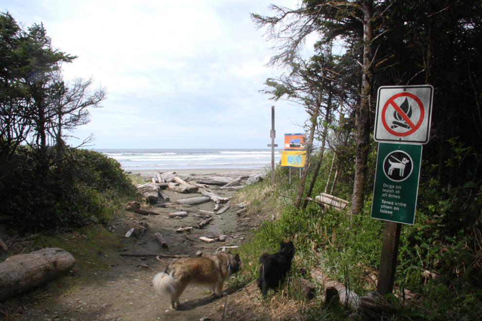 Access to Long Beach from Green Point Campground, Pacific Rim National Park