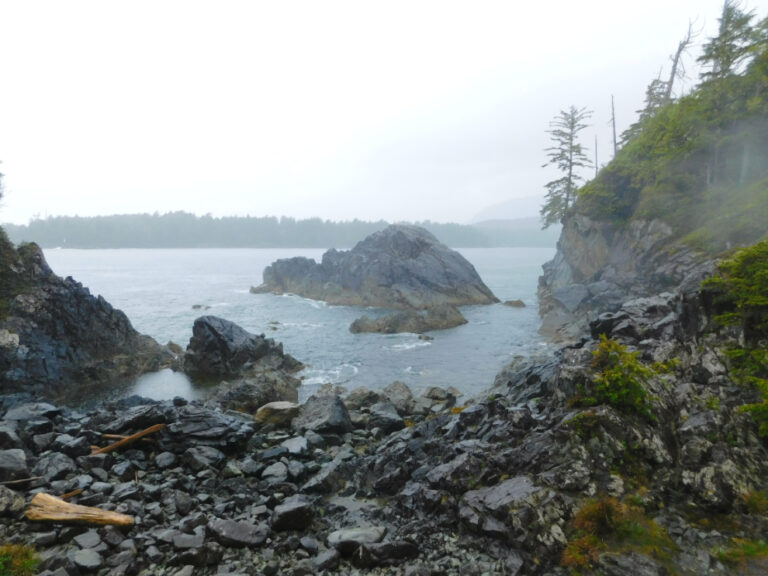 A Boat Tour To Hot Springs Cove, Maquinna Marine Provincial Park – The ...