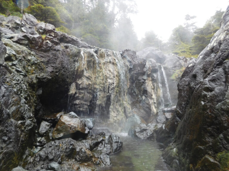 A Boat Tour To Hot Springs Cove, Maquinna Marine Provincial Park – The ...