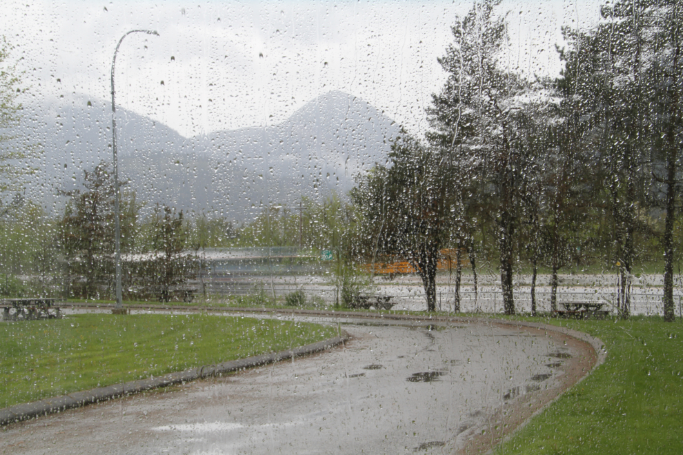 A rainy morning in the Fraser Valley