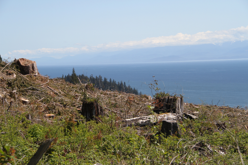 Logging along the coast north of Port Renfrew, BC